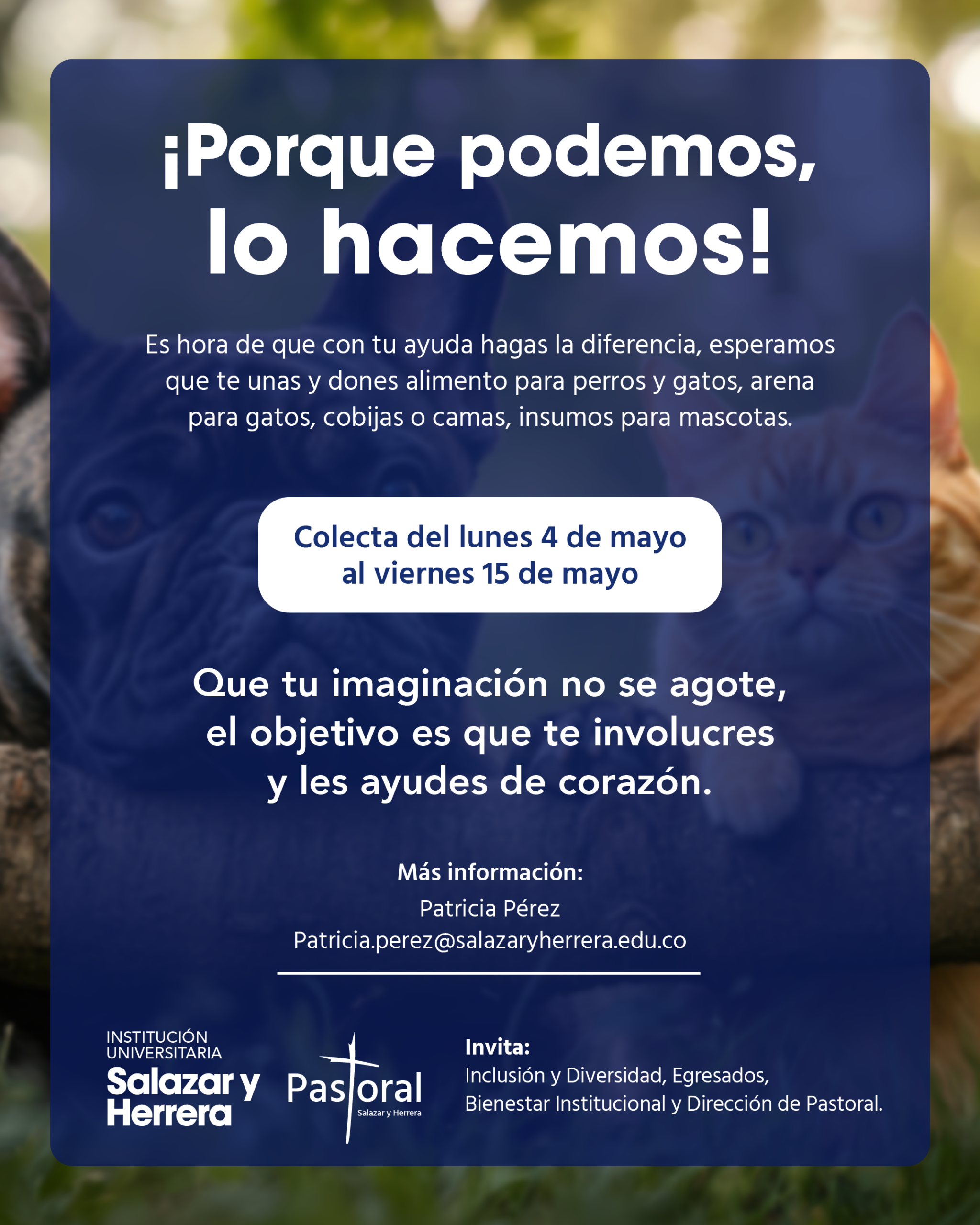 E-card correo-facebook