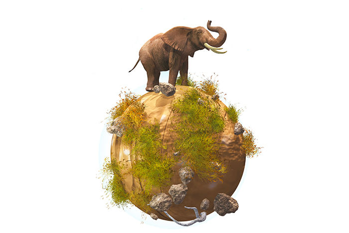 animación2D-diseño-grafico-videojuegos
