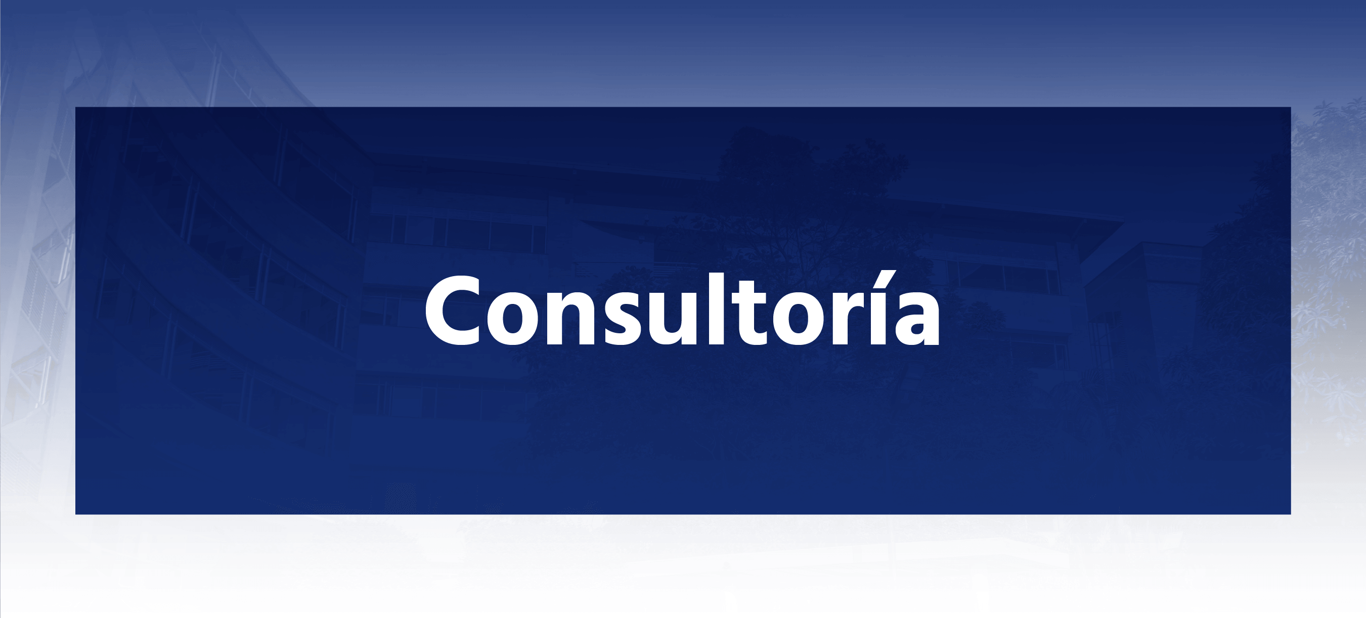 consultoria