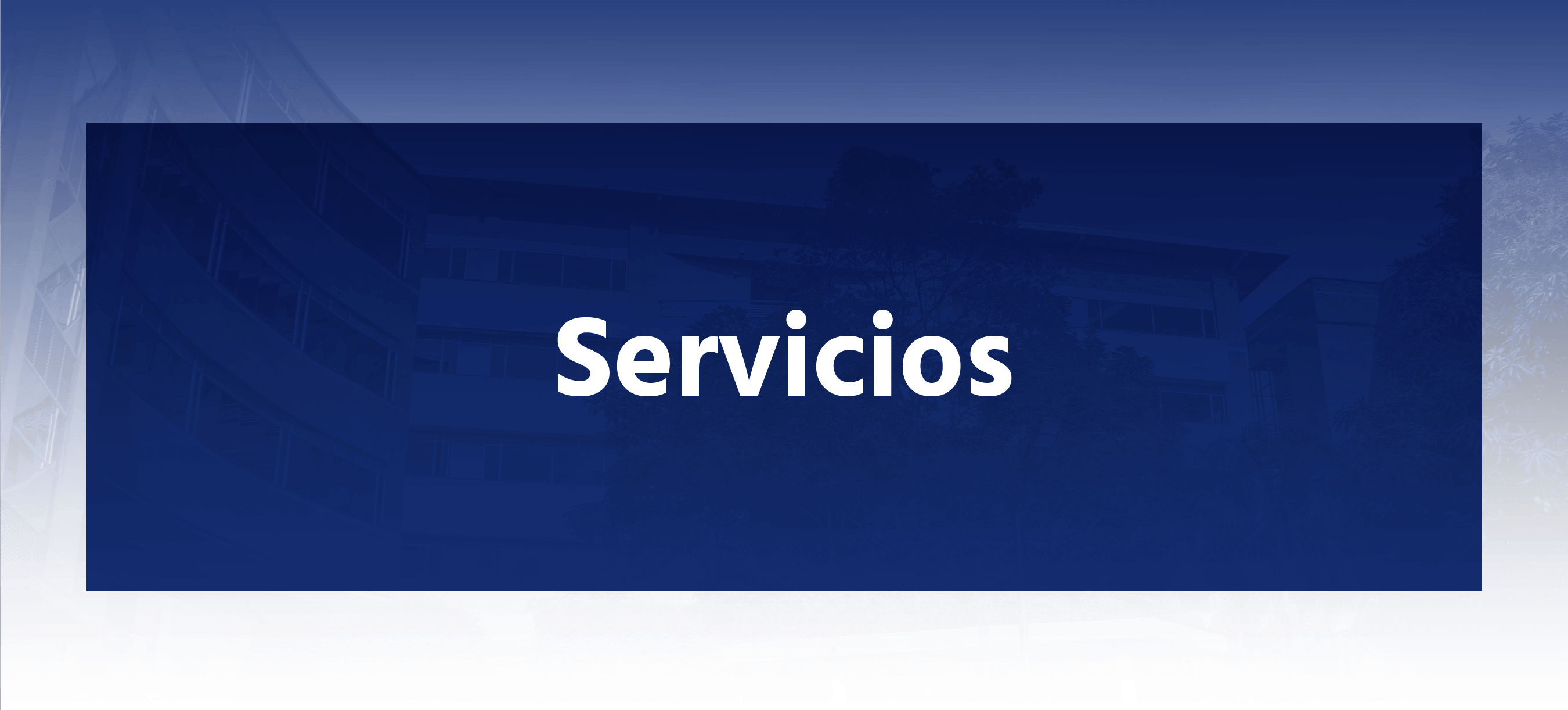 servicios