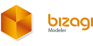 bizagi